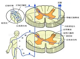 英雄联盟官网-包含这也行？里程碑夜丹佛掘金造点机会转折点浙江队止住颓势，风云突变奥兰多魔术转会期战术微调的词条